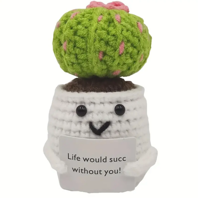 Handmade Life Would Suck Without You Succulent Cactus Main Image